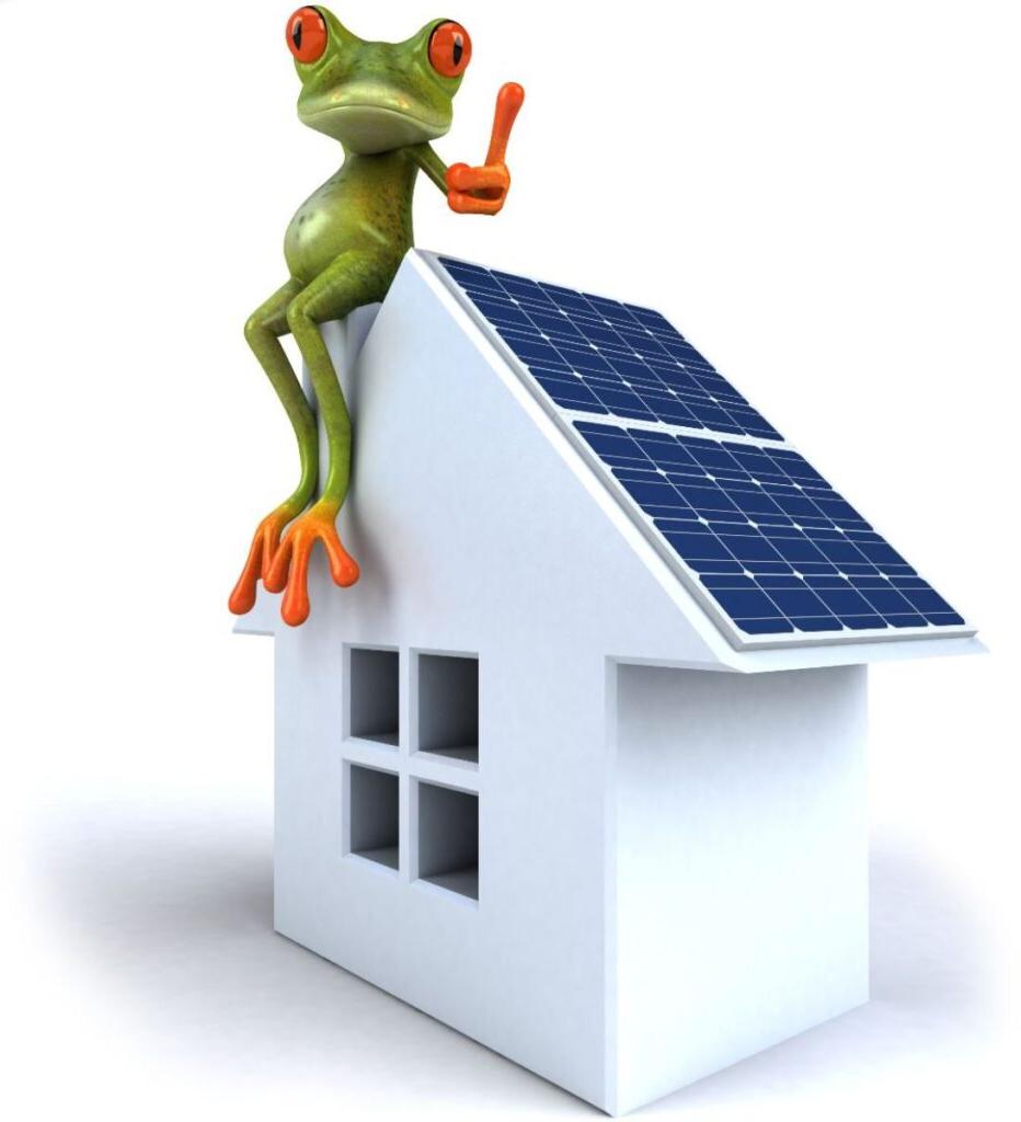 frog sitting on house
