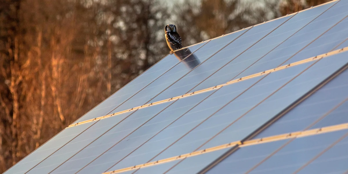 Is Solar Worth it in Arizona